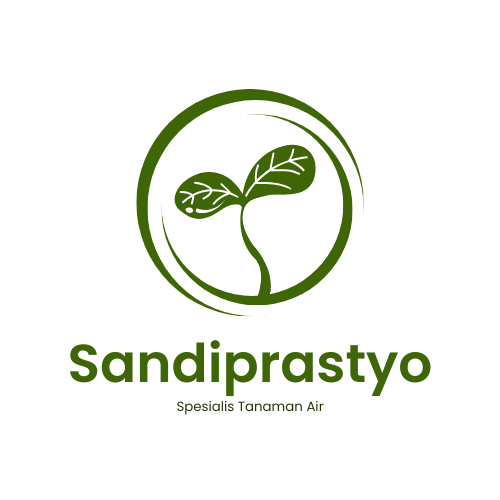 Toko Sandiprastyo